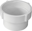 DRAIN CLEANOUT BODY PVC 3 IN  
