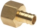 ADAPTER PEX 1/2IN BRASS FEMALE