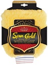 WASH MITT PROFESSIONAL 8X11IN 