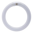 BULB FLUOR CIR WW 4PIN 8IN 22W