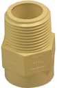 ADAPTER CPVC MIP X CPVC 3/4   