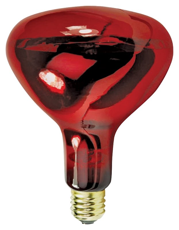 LAMP REFLEC HEAT RED R40 250W 