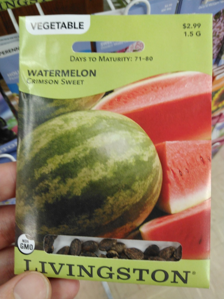 Crimson Sweet Watermelon Seeds - Premium Garden Variety