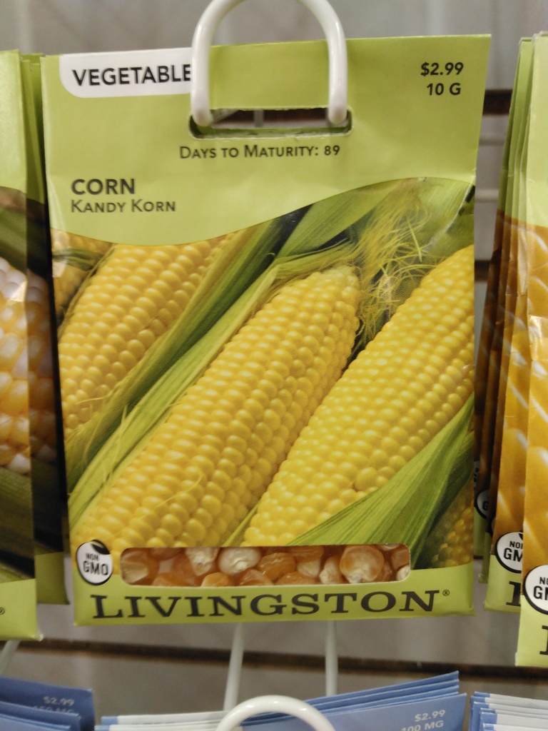 LV CORN - KANDY KORN