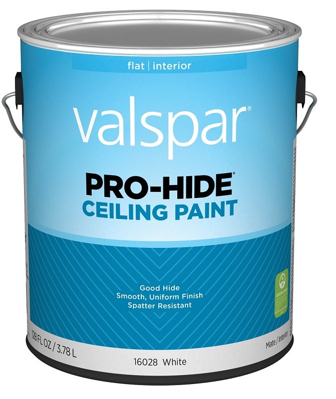 PAINT CEILING WHITE GA        