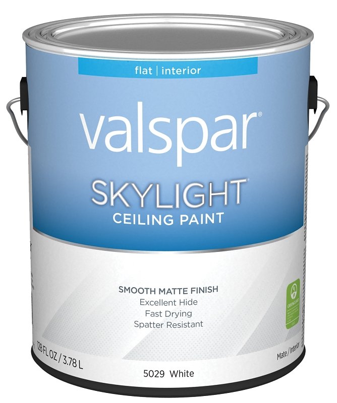 PAINT CEILING WHITE GA        