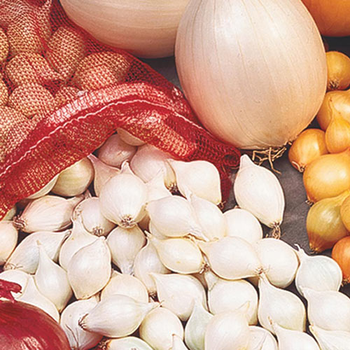 Onions