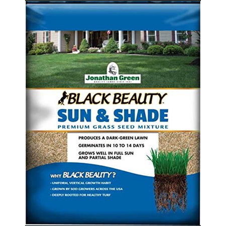 [8788846] Black Beauty Sun and Shade Seed Mix