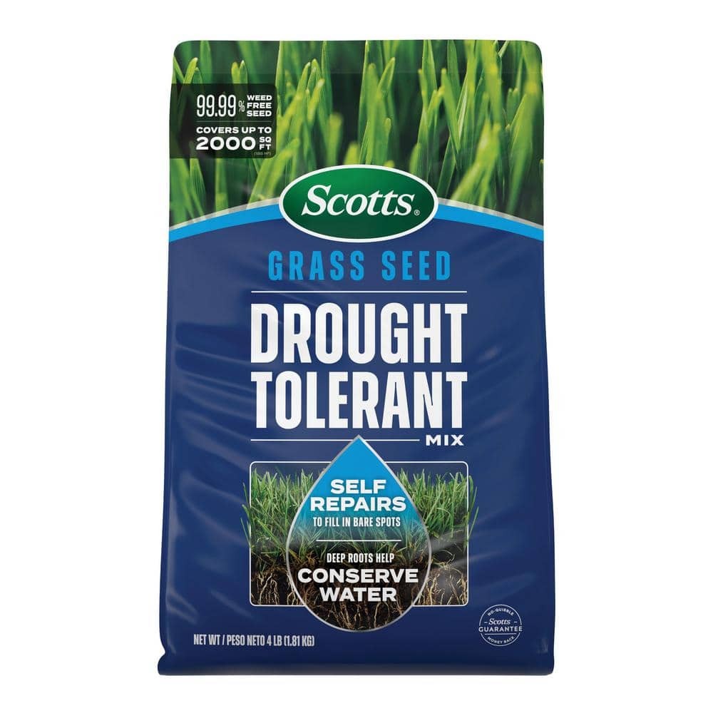 [4329678] Scotts Grass Seed Drought Tolerant Mix  2 000 Sq. Ft.  4 Lb