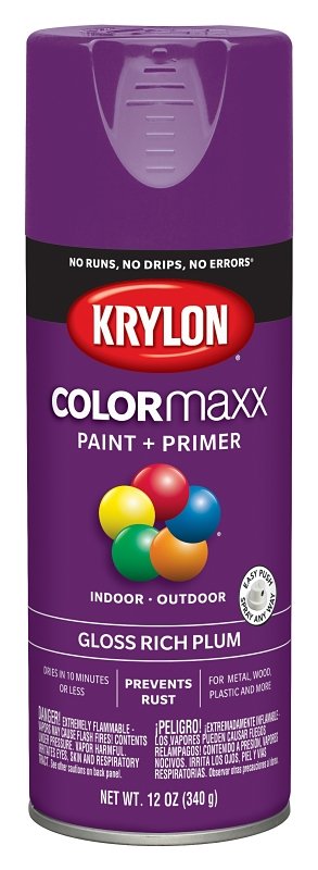 PAINT SPRY GLS RICH PLUM 12OZ 