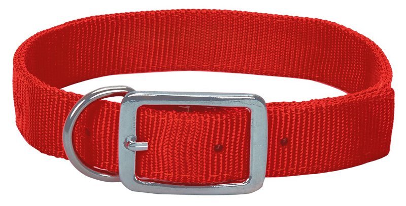 COLLAR HUNTING NYL ORNG 1X24IN